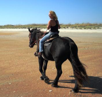 Outer Banks Equine Adventures